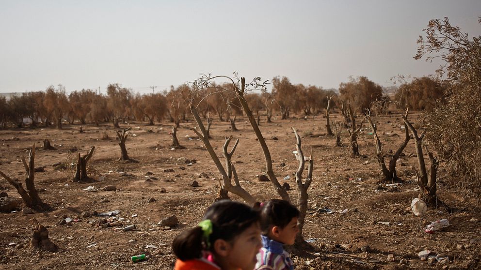 Omfattande torka är en av konsekvenserna av klimatförändringar.