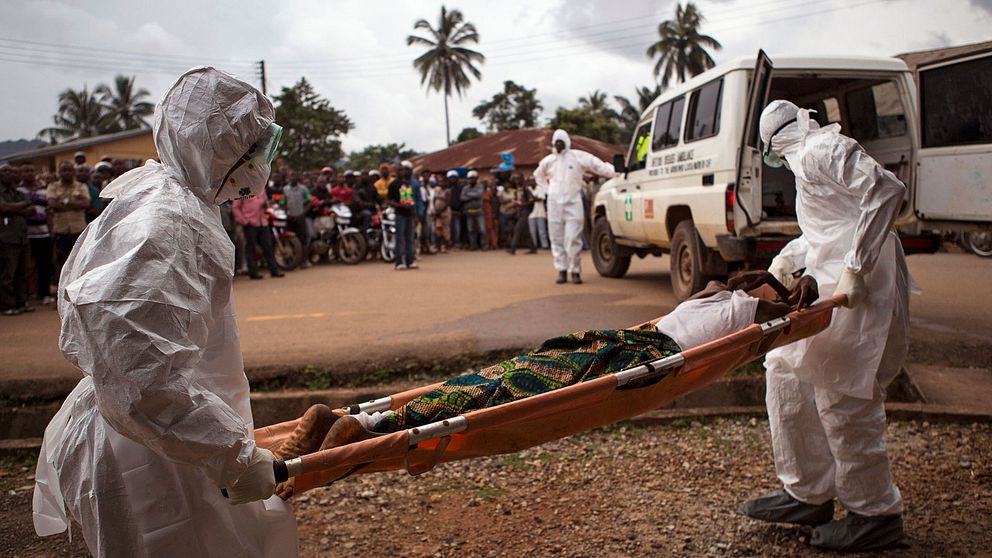 Arkivbild från Sierra Leone 2014. Två personer i heltäckande dräkter bär en misstänkt ebolapatient till en ambulans.