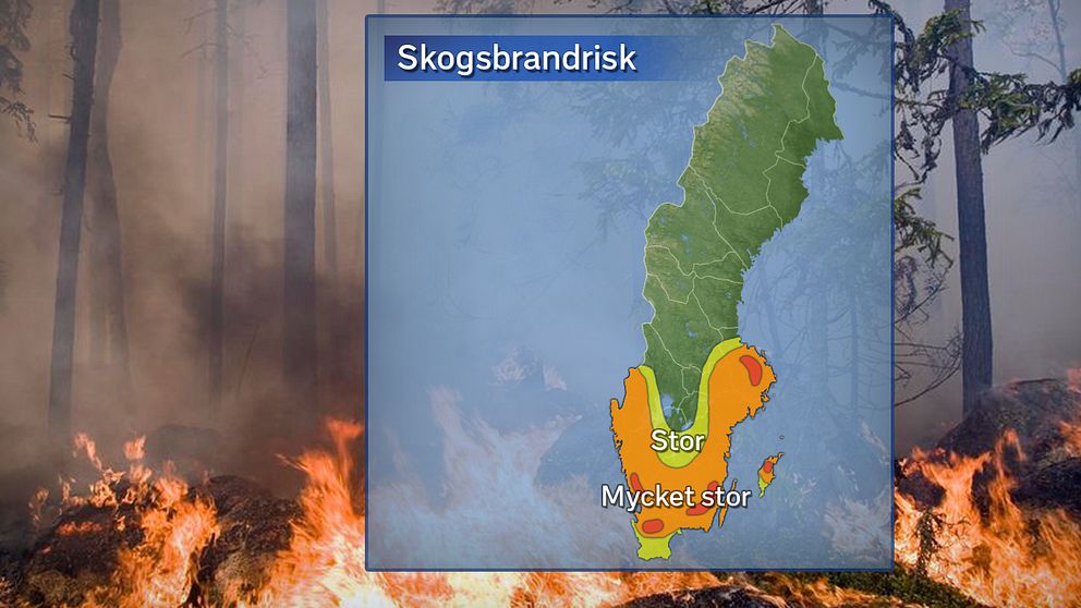 Stor risk för skogsbrand i hela Stockholms län.