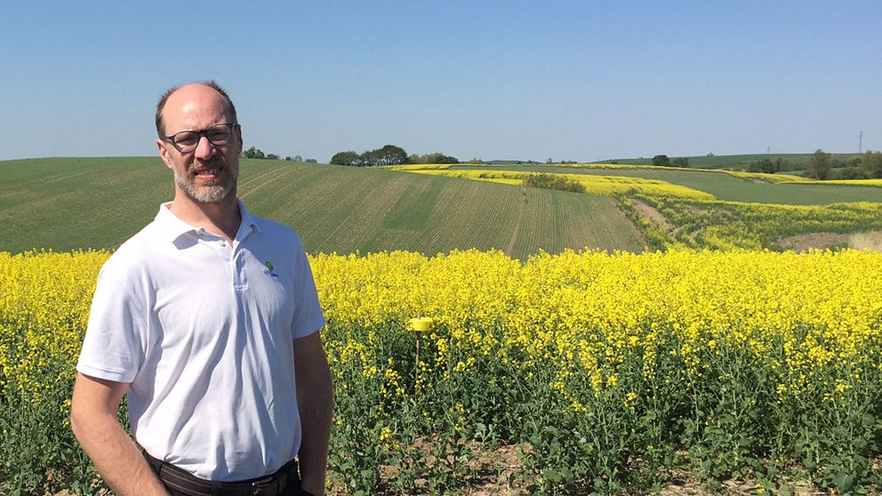 Mattias Hammarstedt är en av Skånes lantbrukare som i år har problem med sina rapsfält.