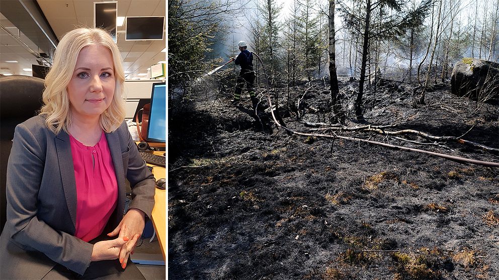 SVT-Meteorologen Åsa Rasmussen och en markbrand