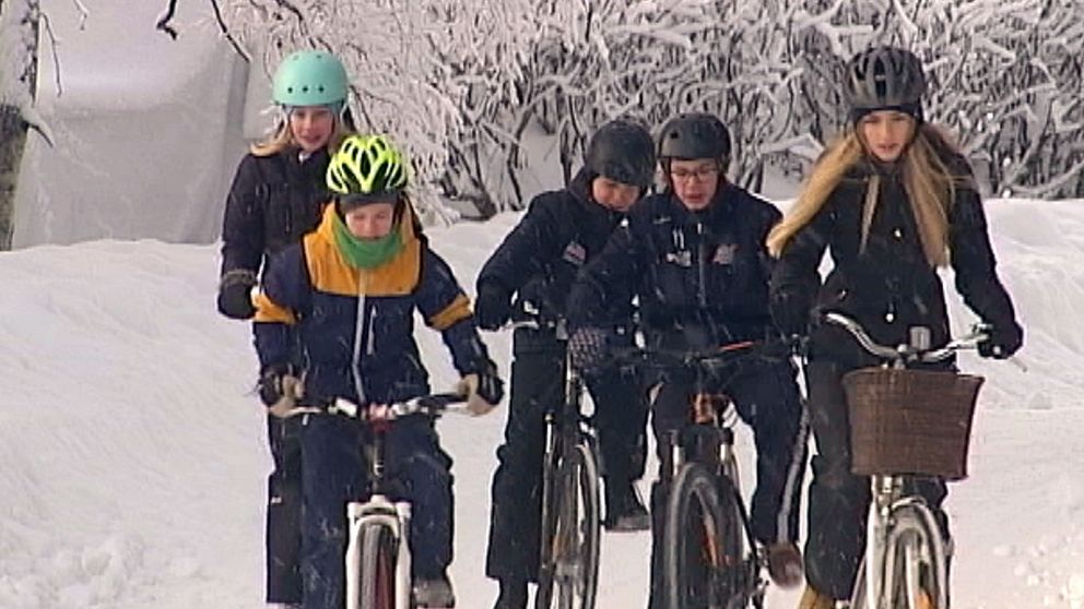 grupp barn com cyklar på vintern