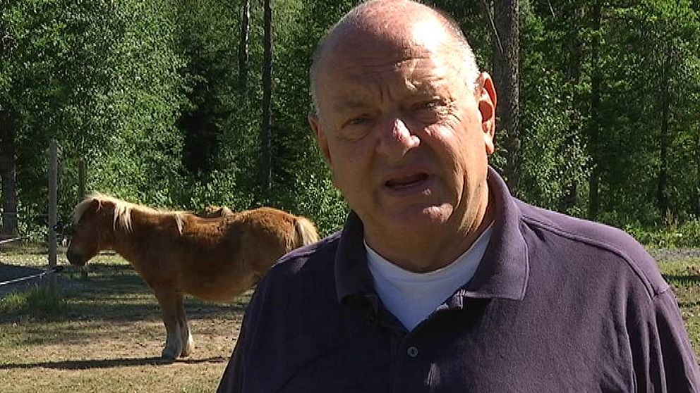 – Visst har det förekommit att människor skadat hästar avsiktligt, men det är mycket ovanligt, säger veterinär Mikael Fälth.