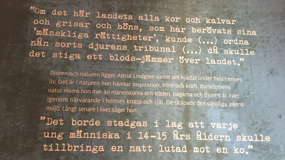 Astrid Lindgrens samhällsengagemang sträckte sig över vitt skilda ämnen: Allt från djurrätt till fred och allt för höga skatter.