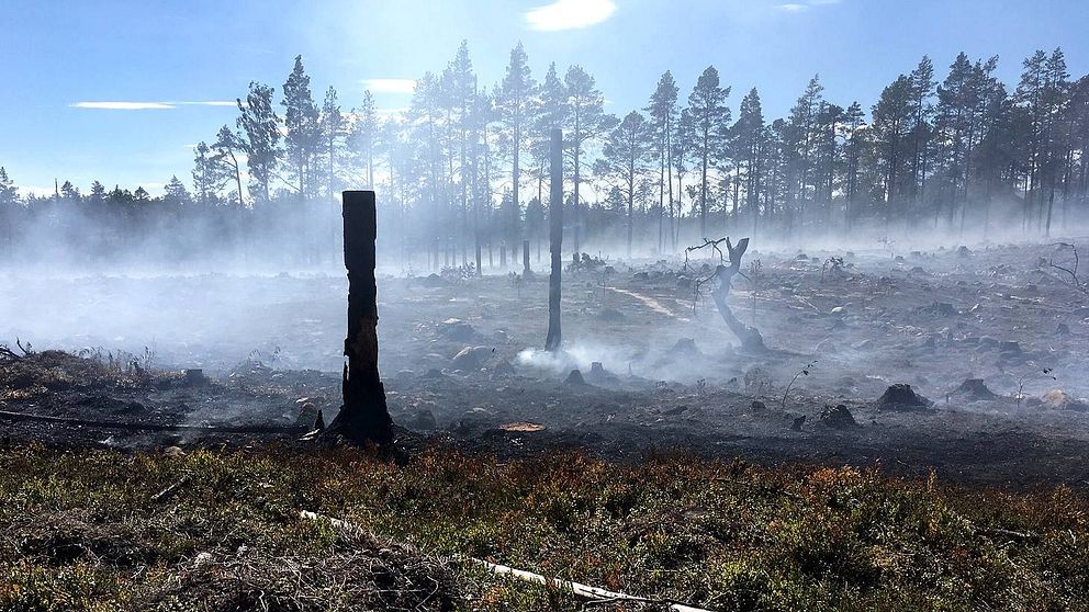 Först vid 14-tiden kunde räddningstjänsten meddela att skogsbranden var under kontroll. Då hade drygt en hektar antänts i de torra markerna.