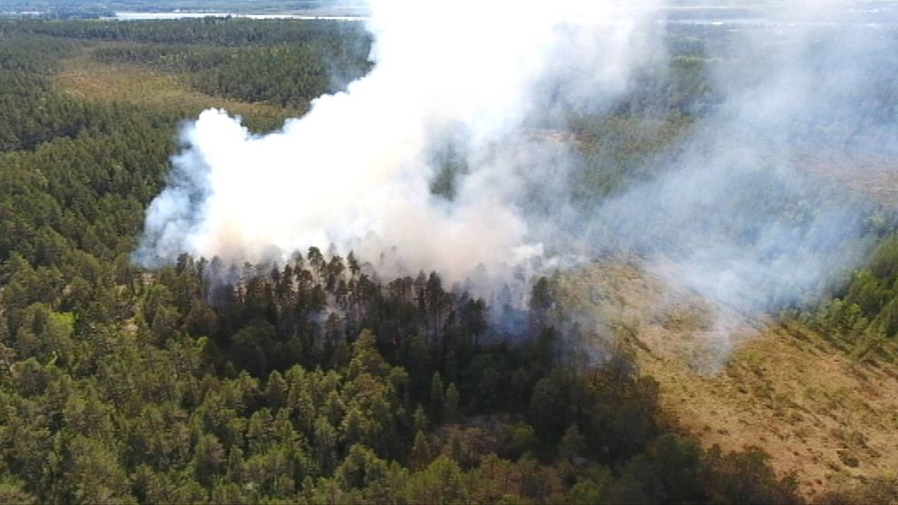 flygbild över skogsområde, kraftig rök