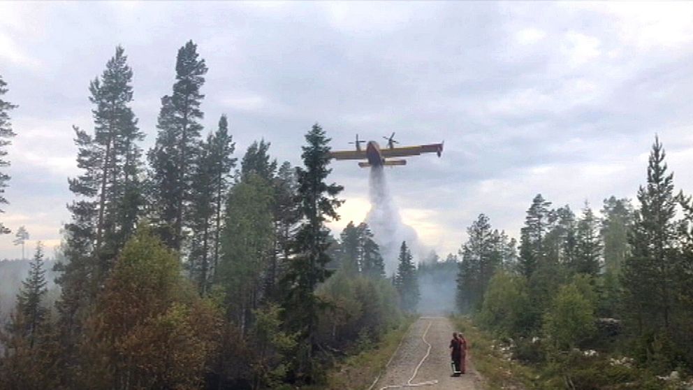 brandflyg vattenbombar skog vid grusväg, små figurer på vägen ser på.