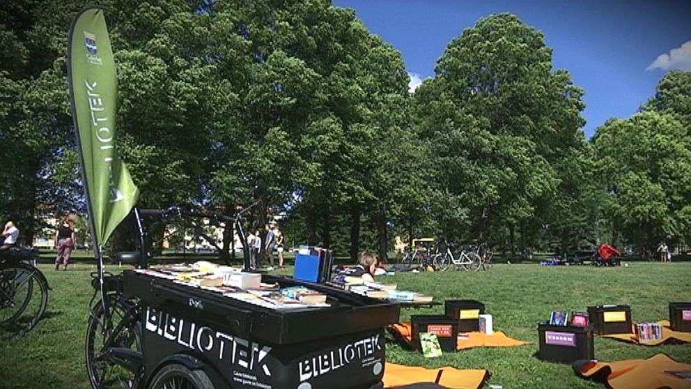en park med ett bibliotek på en lådcykel