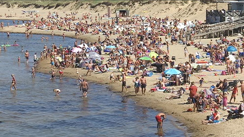 Tylösands strand med mycket folk