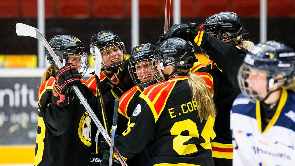 Sandvik Coromant blir ny huvudpartner till Brynäs IF SVT Nyheter