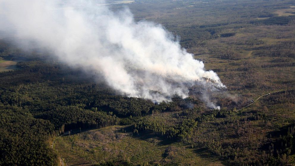 flygbild av rök från en brand i skogen