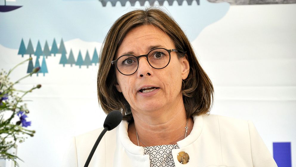 MP-ledaren Isabella Lövin.