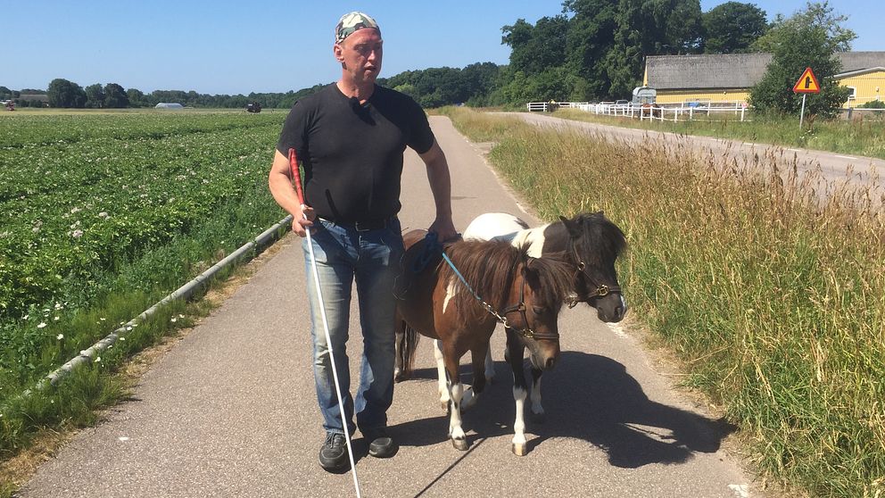 Jan Johannesson och hans ledarhästar.