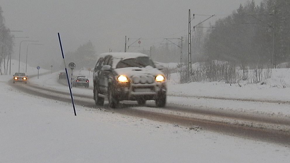 Snöigt utanför Sundsvall i samband med månaden mest omfattande och kraftiga snöväder den 21 februari.