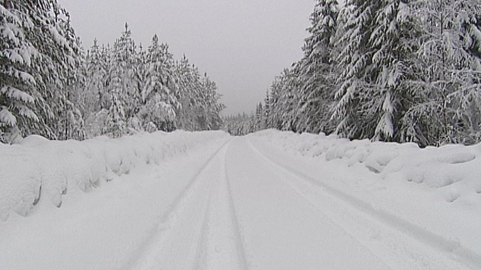 Mildvädersmånaden februari gick på många håll i landet i en grå-brun-grön nyans, men i någonstans i Värmland den 18 februari var det vitt så sitt man såg.