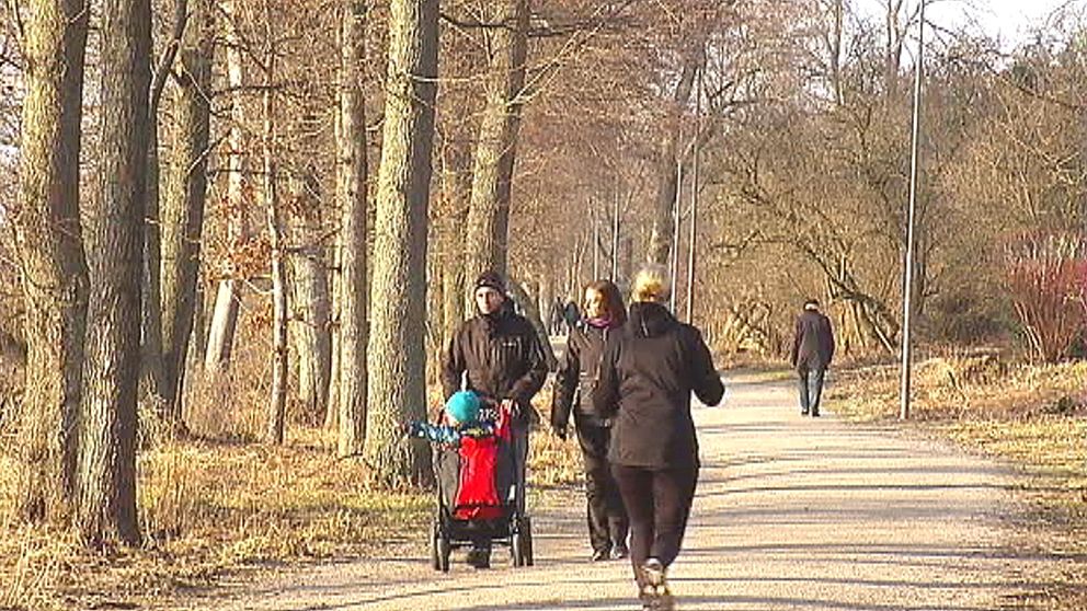 En av ytterst få dagar när solen lyste över Växjö var den 24 februari.