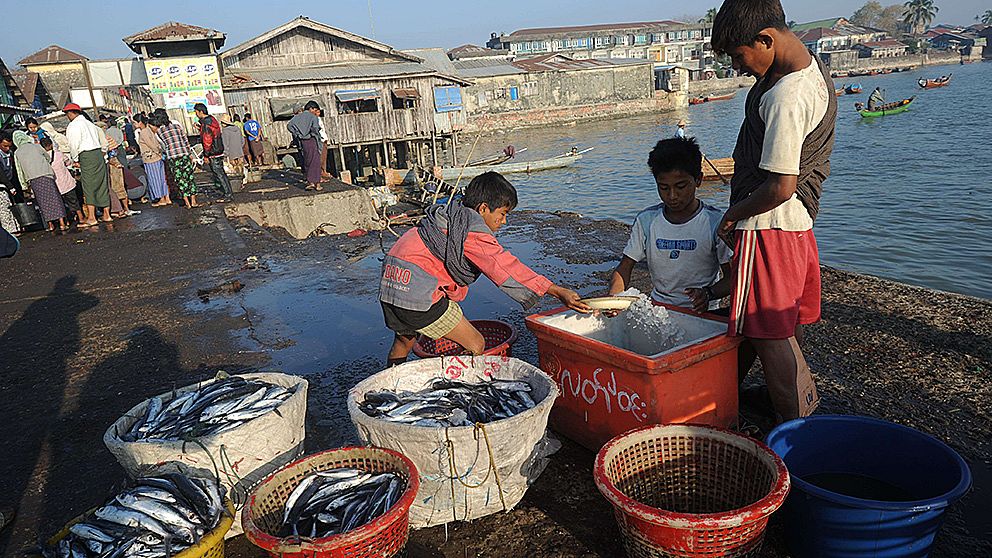Unga män vid Sittwe-marknaden i Rakhine, Burma. Här lever många från den utsatta folkgruppen rohingya.