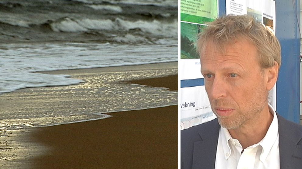 Stranderosion och Per Danielsson, nationell samordnare för stranderosion vid Statens geotekniska institut (SGI).