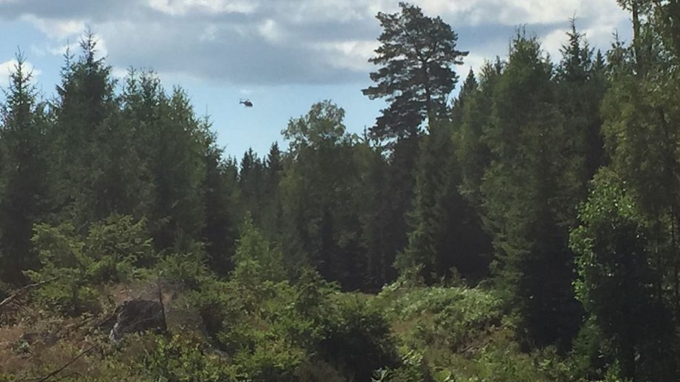 En helikopter söker i området över skogen
