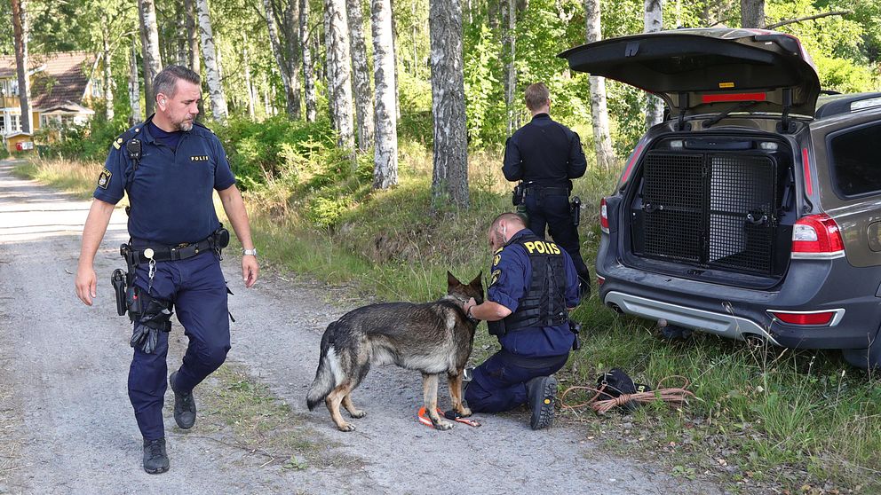 Polishund som letar efter mannen.