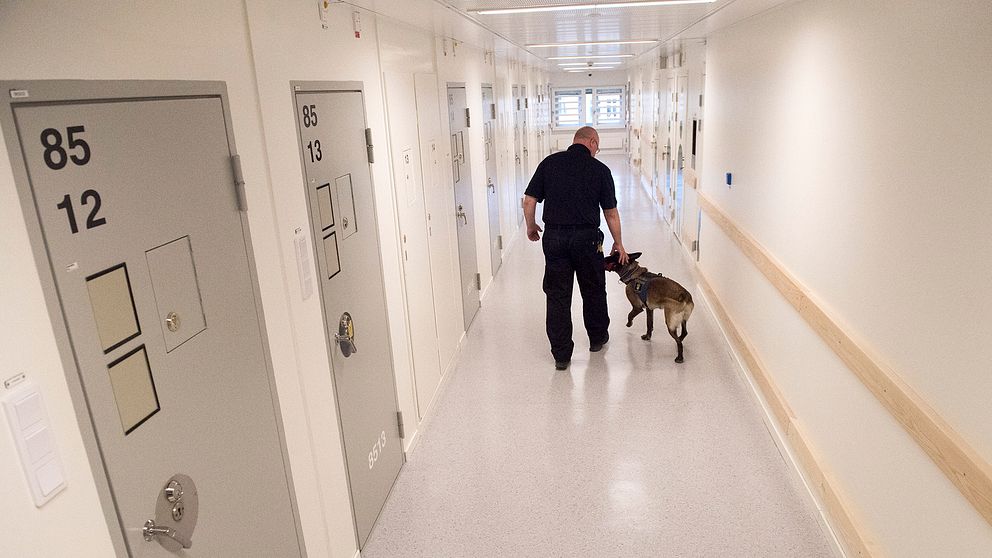 Kriminalvårdspersonal går med sökhund längs korridorerna på Kronobergshäktet.