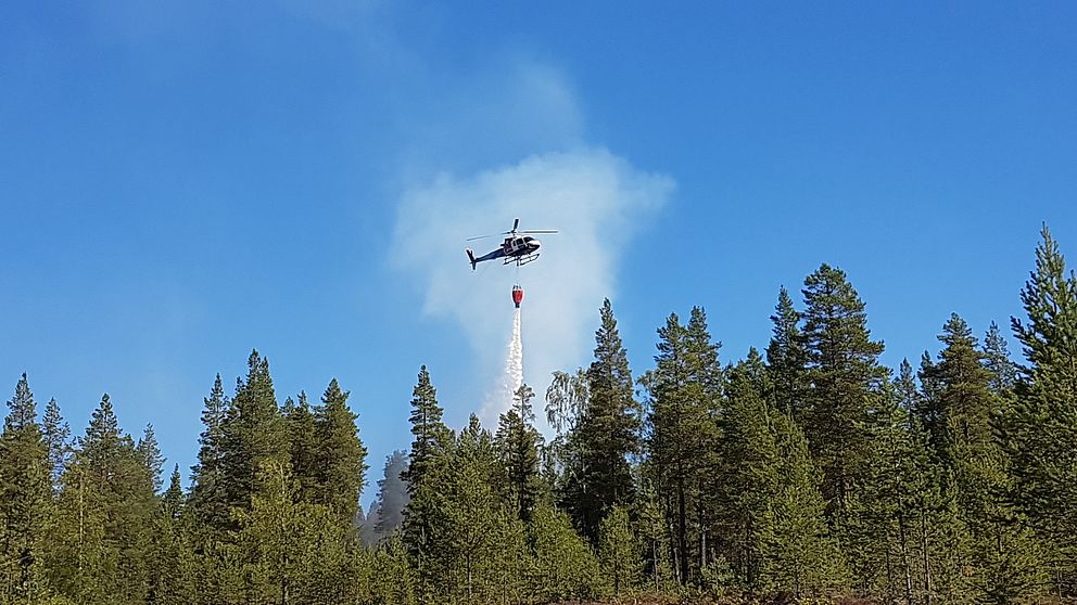 helikopter som vattenbombar skog