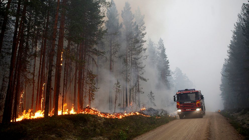 Skogsbranden vid Kårböle strax utanför Ljusdal.