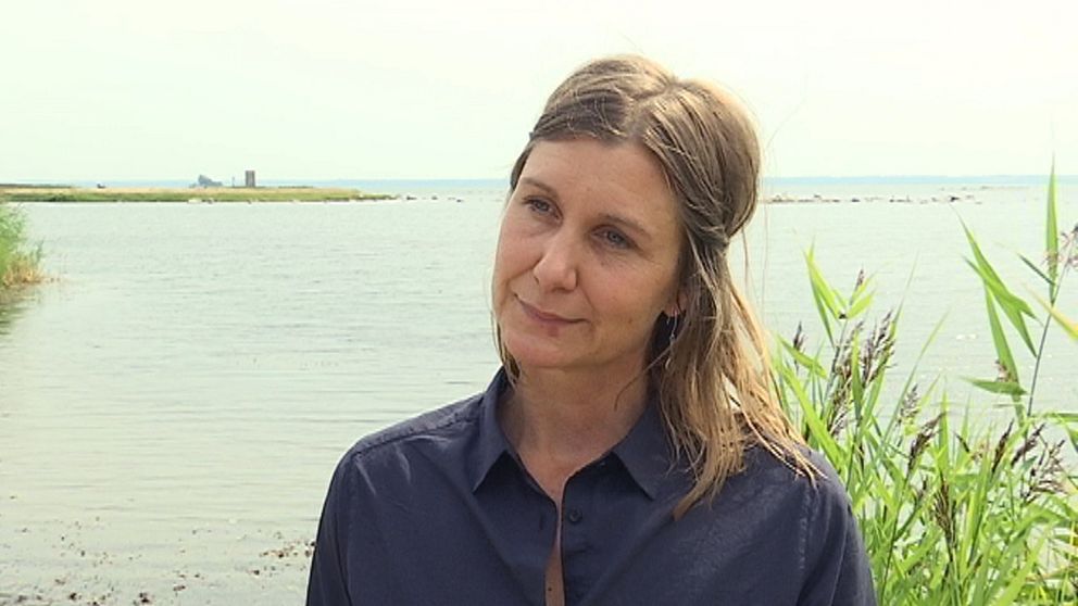 Rita Jönsson är Marinbiolog på länsstyrelsen i Kalmar.