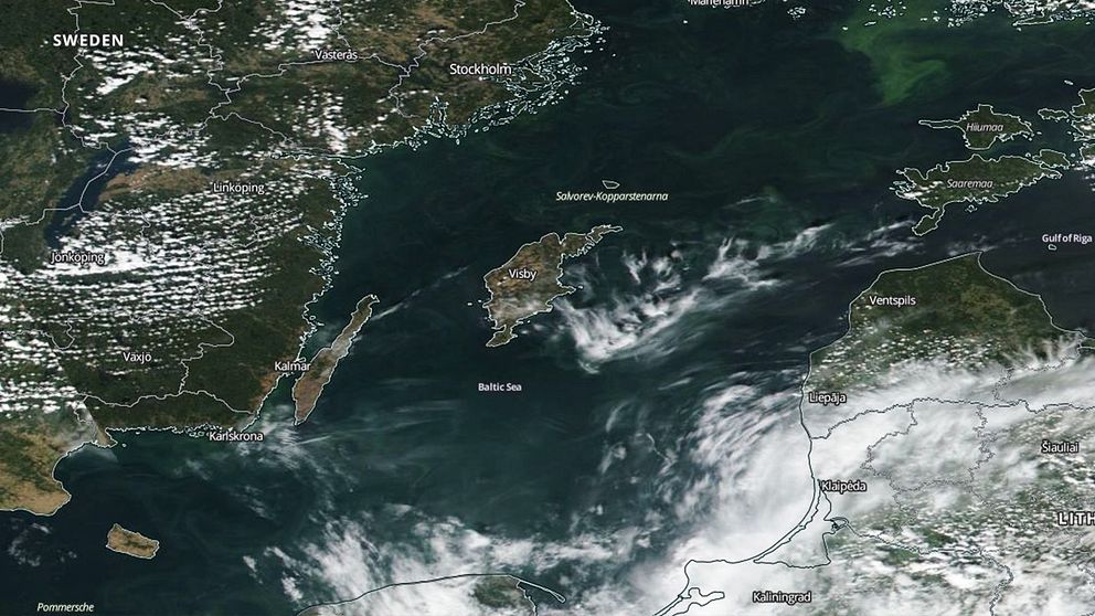 På en satellitbild över Östersjön från måndagen den 16 juli ser man tydligt de blågröna stråken.