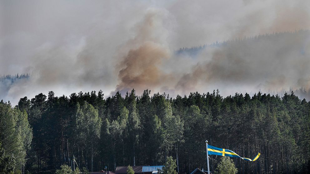 Skogsbrand i Enskogen utanför Ljusdal.