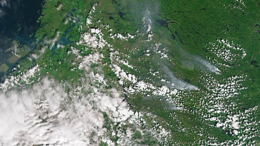en satelitbild tagen av den europeiska rymdstyrelsen ESA som visar flera av brandhärdarna