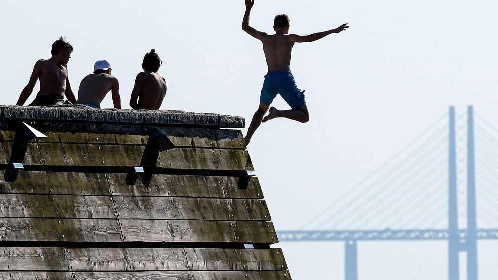 Öresundsbron syns i bakgrunden och en kille hoppar i vatten från en brygga.