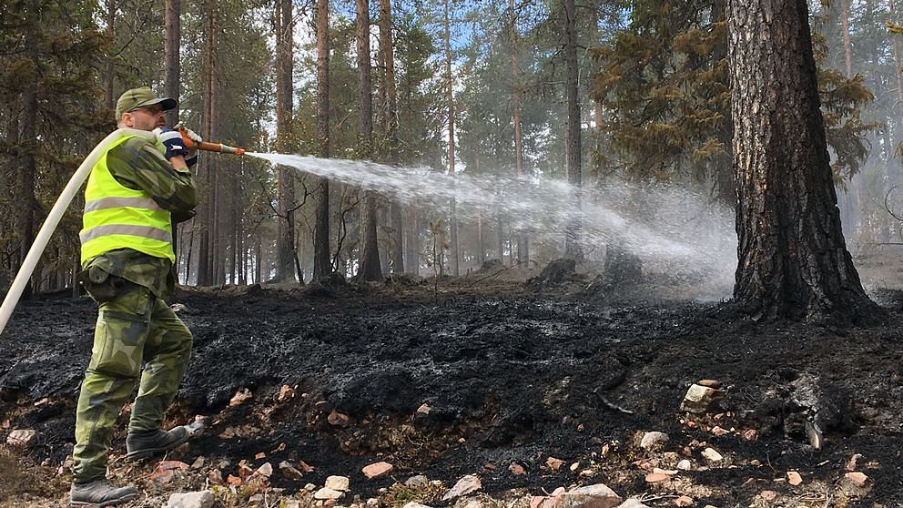 Det senaste om bränderna i Sverige