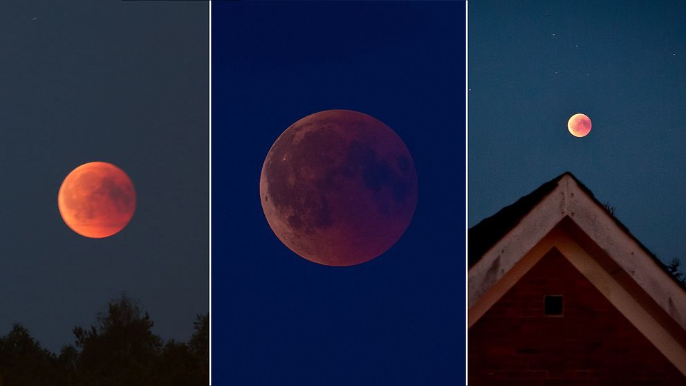 Här är läsarnas egna bilder på blodmånen. I videoklippet kan du se Nasas film av månförmörkelsen och blodmånen.