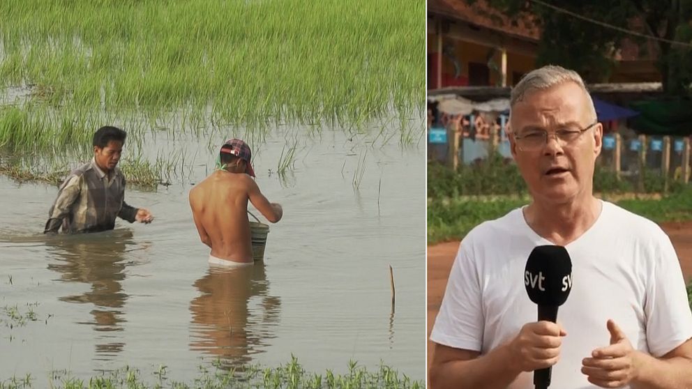 En bild till vänster på bönder i Kambodja som arbetar. Till höger en bild på Claes JB Löfgren utanför plantagen.