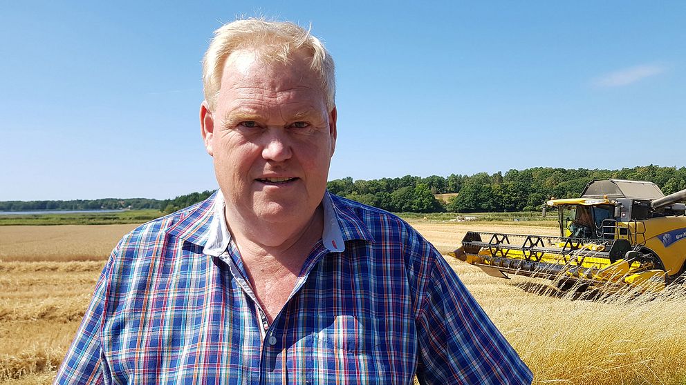 Lantbrukaren Carl-Göran Svensson räknar bara med hälften av en normal skörd.