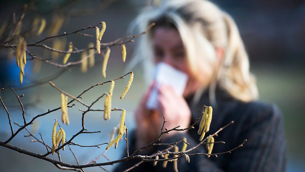 Pollen