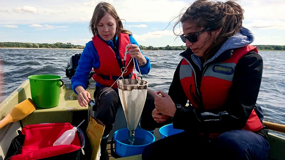 Emma Johansson, doktorand i akvatisk ekologi, vid Lunds universitet och hennes assistent Franca Stabile tar vattenprover i Vombsjön.