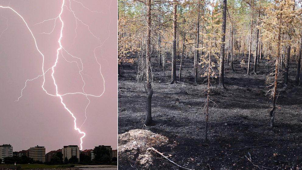 Blixtnedslag och eldad skog.