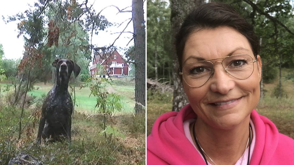 dubbelbild: hund sittande i skogsbryn med röd stuga i bakgrunden / porträtt på kvinna med glasögon och rosa hoodie