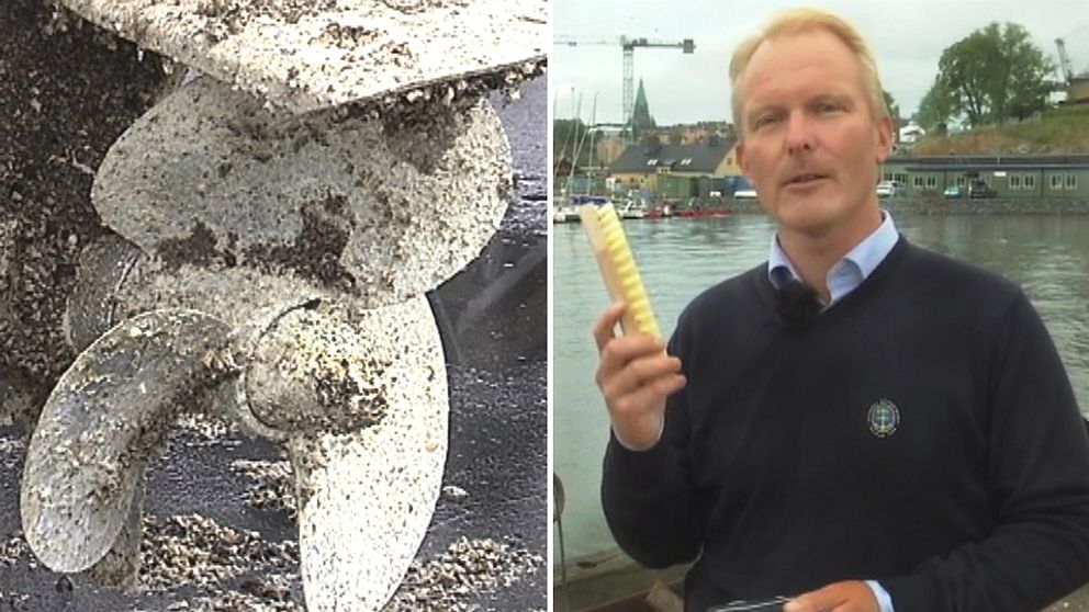 Peter Karlsson är verksamhetschef på Svenska Båtunionen och tipsar om hur man får bort havstulpaner från skrovet.