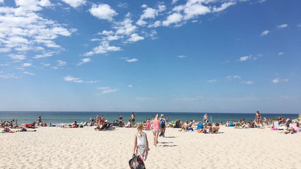 Tofta strand på Gotland