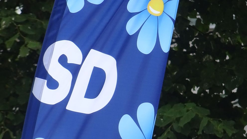 Sverigedemokraternas logotype på flagga