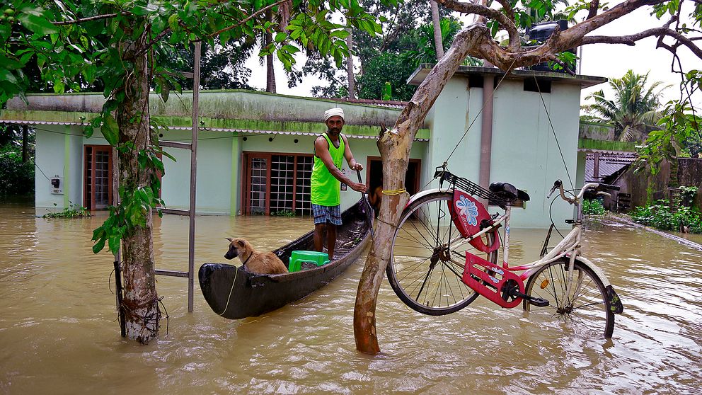 En man ror en båt i höjd med takhuset på grund av översvämningarna i Kerala, Indien.