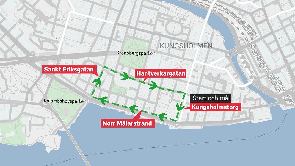 Karta över hur MNR-demonstranterna kommer att röra sig under lördagen.