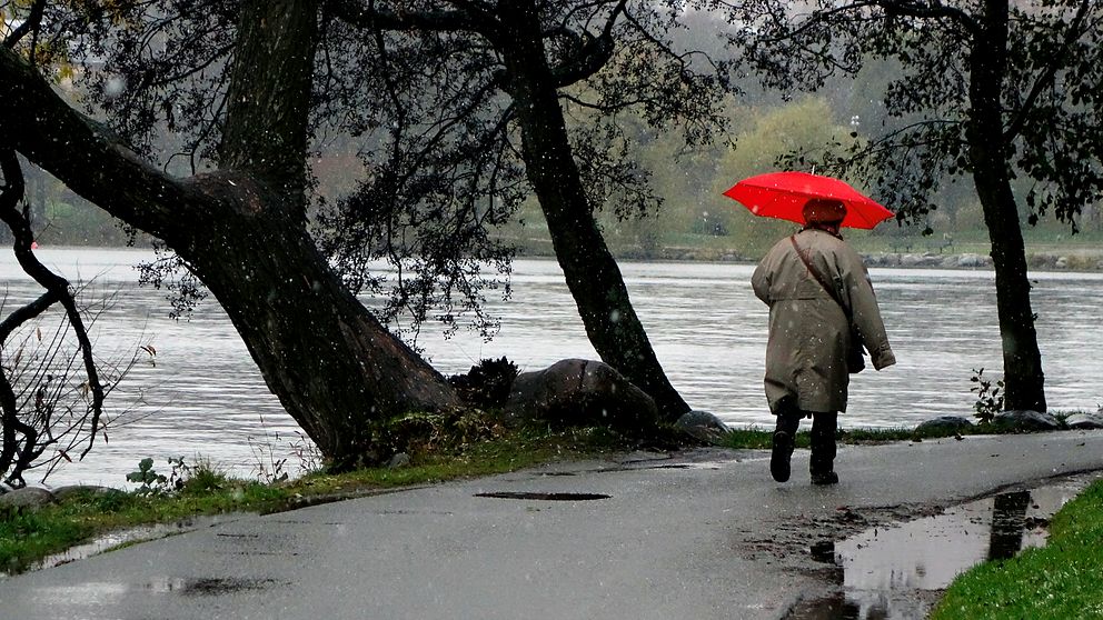Kvinna med rött paraply promenerar i höstväder på Norr Mälarstrands promenadväg