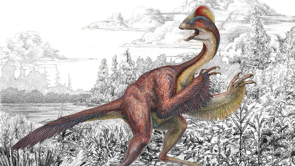En fyra meter stor hönsfågel från helvetet. Så beskriver amerikanska forskare en nyupptäckt fågelliknande dinosaurie som skrämde livet ur sina byten för 66 miljoner år sedan.