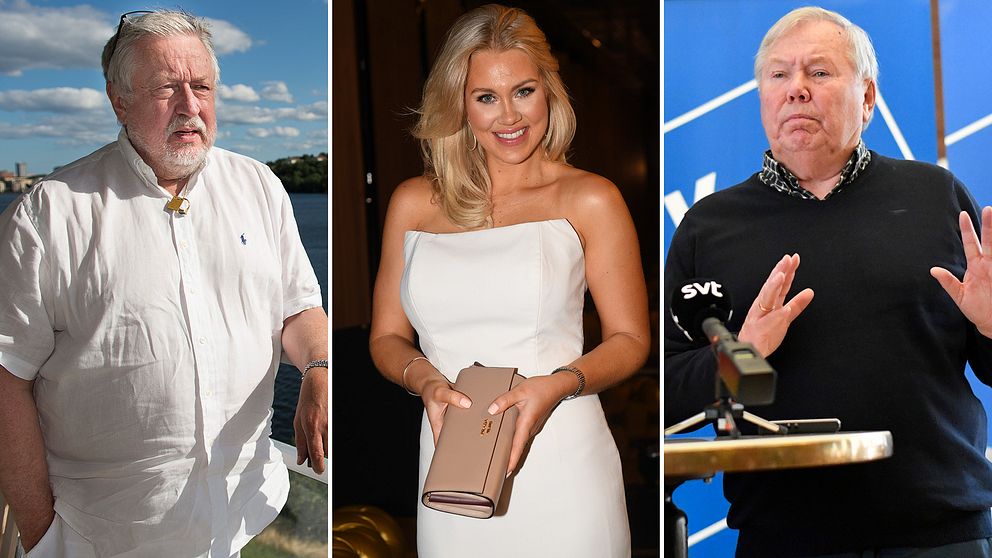 Leif GW Persson, Isabella Löwengrip och Bert Karlsson är några av de kändisar som ställt sig bakom partierna.