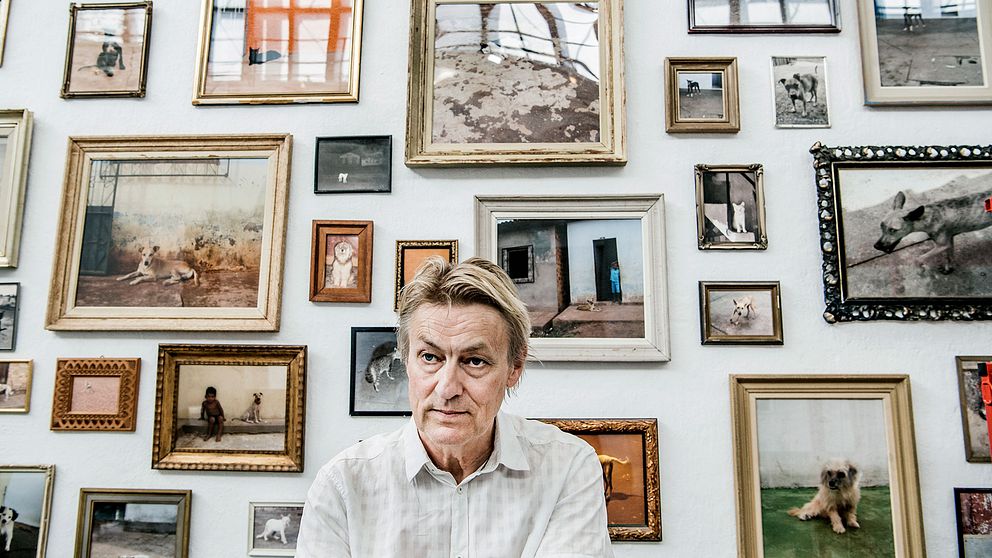 Publiksuccé för Lars Lerinutställning SVT Nyheter