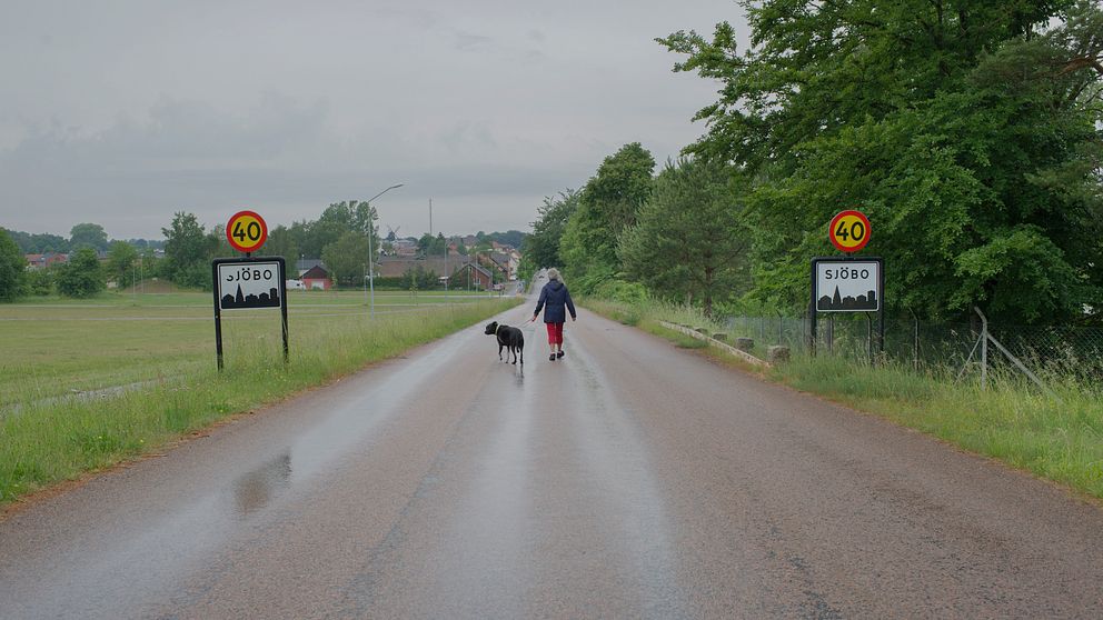 Skånska Sjöbo är ett av SD:s starkaste fästen.